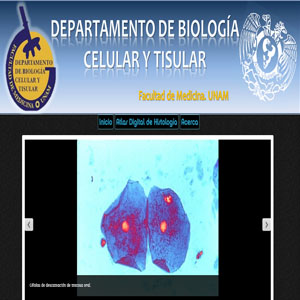 Atlas digital de histología
