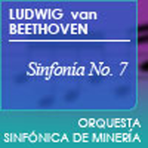 Ludwig van Beethoven sinfonía No. 7 en la mayor op.92