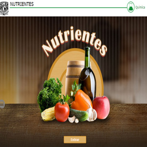 Imagen sobre nutrientes 