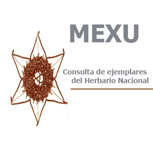 Imagen sobre Mexu (consulta de ejemplares del Herbario Nacional).