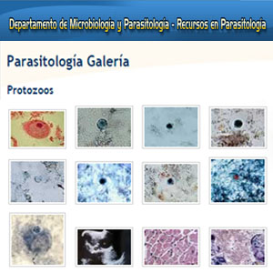 Imagen sobre Parasitología galería.