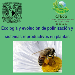 Imagen sobre Ecología y evolución de polinización y sistemas reproductivos en plantas