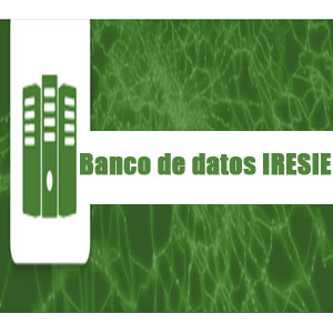 Imagen de Banco de Datos IRESIE
