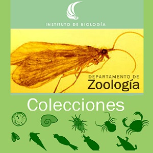 Imagen sobre las colecciónes del departamento de zoología