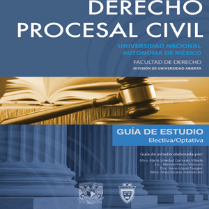 Imagen sobre guía de estudio del Derecho procesal civil 