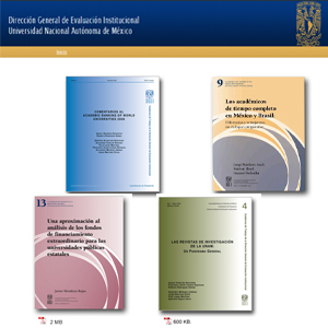 Cuadernos de trabajo de la Dirección General de Evaluación Institucional
