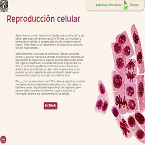 Imagen sobre la reproducción celular 