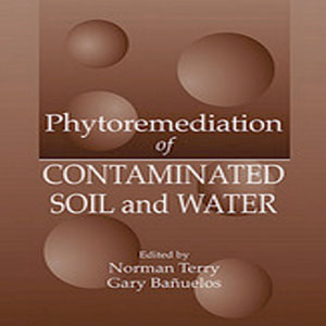 Imagen sobre Phytoremediation of contaminated soil and water