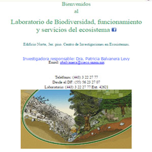 Imagen sobre el Laboratorio de Biodiversidad, funcionamiento y servicios del ecosistema 