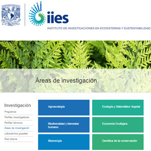 Imagen sobre las áreas de investigación del IIES.