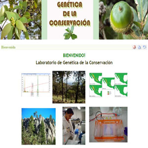 Imagen sobre el Laboratorio de Genética de la Conservación.