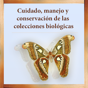 Imagen sobre Cuidado, manejo y conservación de las colecciones biológicas