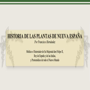 Imagen sobre la Historia de las plantas de Nueva España. 