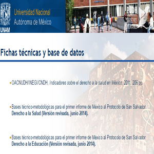 Imagen sobre las Fichas técnicas y base de datos del Programa Universitario de Derechos Humanos UNAM. 