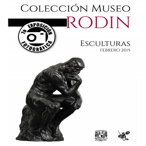Imagen sobre la Colección Museo Rodin.