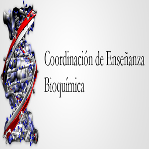 Imagen sobre Coordinación de Enseñanza Bioquímica. 