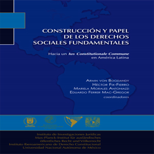 Imagen sobre construcción y papel de los derechos sociales fundamentales. 