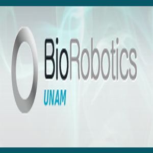 Imagen sobre BioRobotics.