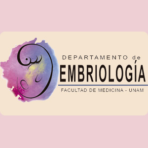 Imagen sobre el Departamento de Embriología 