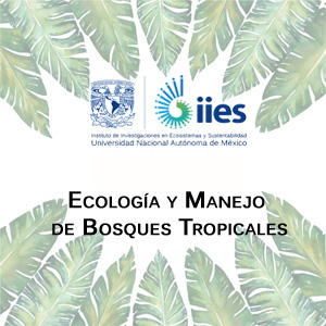 Imagen sobre Ecología y Manejo de Bosques Tropicales