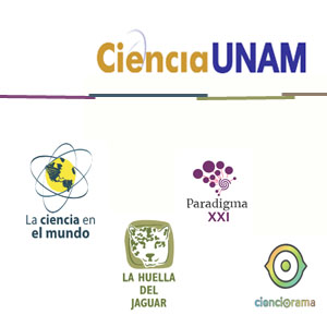 Imagen sobre Blog de UNAM Global