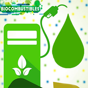 Imagen sobre Biocombustibles en México: Una alternativa para la reducción de la dependencia de los hidrocarburos y la mitigación de los gases efecto invernadero