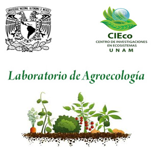 Imagen sobre Laboratorio de Agroecología