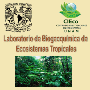 Imagen sobre Laboratorio de Biogeoquímica de Ecosistemas Tropicales