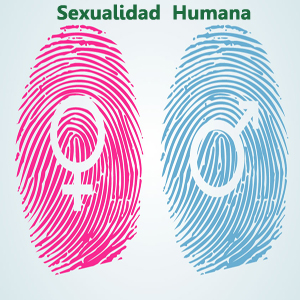 Imagen sobre Antología de la sexualidad humana 1