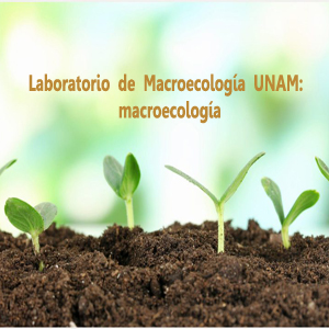 Imagen sobre Laboratorio de Macroecología UNAM: macroecología