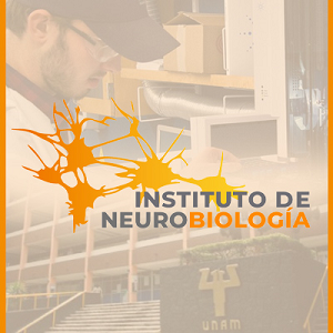 Al fondo de la imagen una investigador, al frente el logo del instituto de neurobilogía 