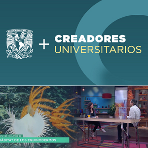 Imagen dividida en dos partes en la parte superior con un color verde el título del recurso junto con el logo de la UNAM, en la parte inferior una imagen del programa en TV.