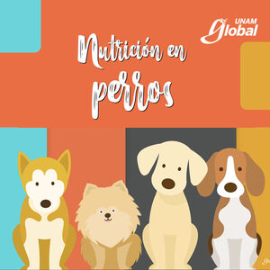 En la portada hay cuatro dibujos de perros de diferentes razas y tamaños.