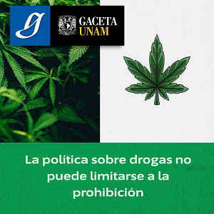 Imagen con plantas de canabis ya que representan el título del recurso, así como el logo de Gaceta UNAM 