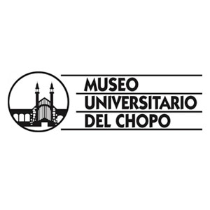 Imagen Museo del Chopo en vivo