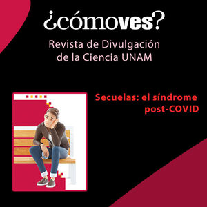 Imagen del recurso